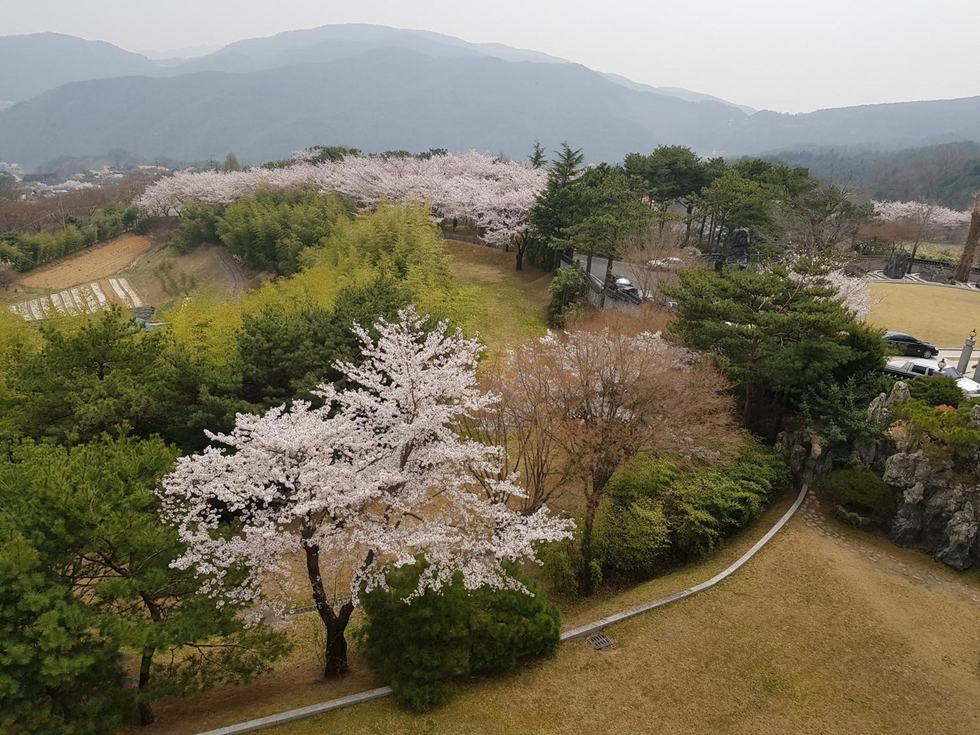 Hotel Gaya Seongju Kültér fotó